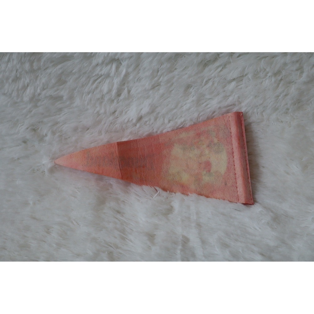 VTG Disneyland Minnie Mouse Golf Pennant Pencil Topper Flag early 1970s - Picture 2 of 3